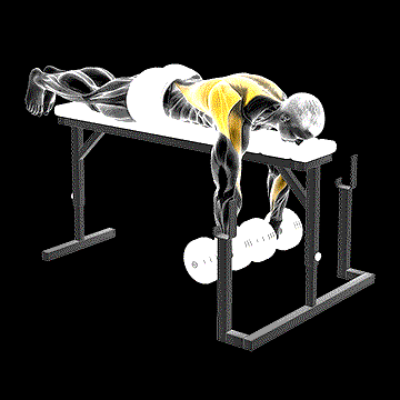 Dumbbell Lying Wide-Grip Row on Rack demonstration