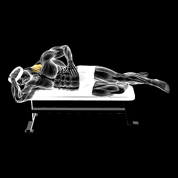 Weighted Side-Lying Side Neck Raise demonstration