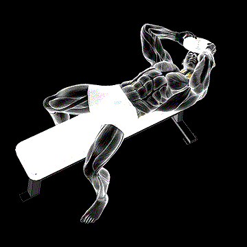 Weighted Lying Neck Side-to-Side demonstration