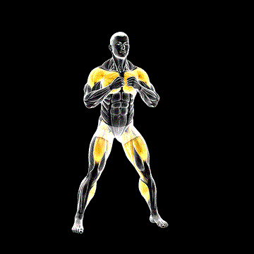 Alternating Hamstring Curl (w/ Punch) demonstration