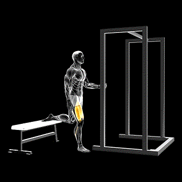 Assisted Bulgarian Split Squat demonstration
