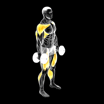 Dumbbell Hang Clean demonstration