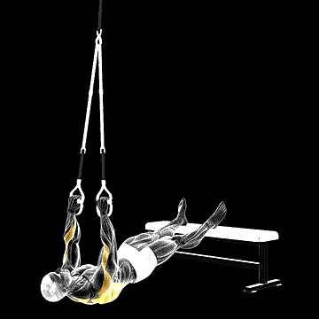 Suspender Wide-Grip Inverted Row demonstration