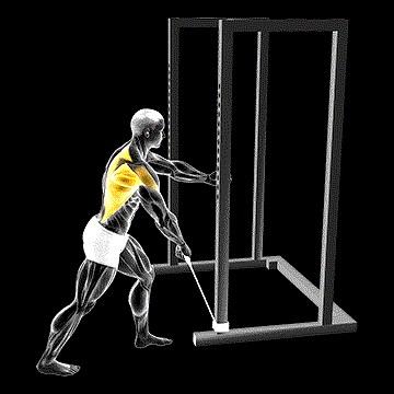 Band One-Arm Standing Wide Grip Low Row demonstration