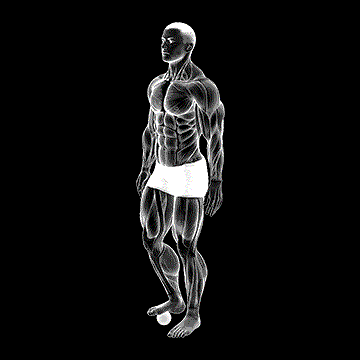 Roll Ball Foot demonstration