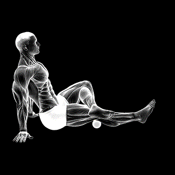 Roll Ball Popliteal demonstration