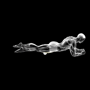 Roll Ball Rectus Femoris demonstration