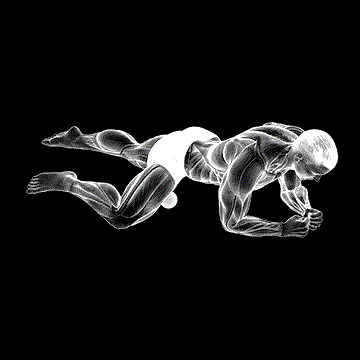 Roll Ball Adductor demonstration