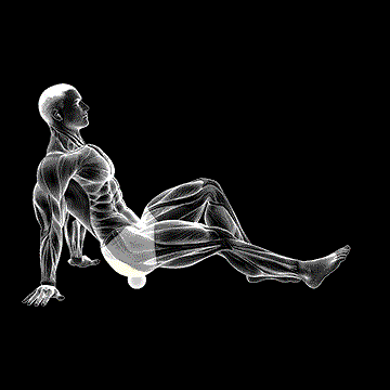 Roll Ball Piriformis demonstration
