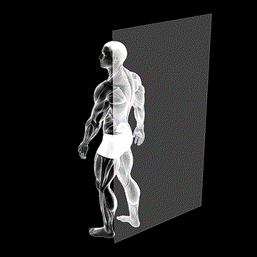 Roll Ball Lumbar Diagonal demonstration