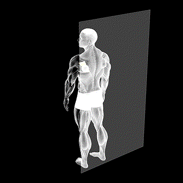 Roll Ball Infraspinatus demonstration