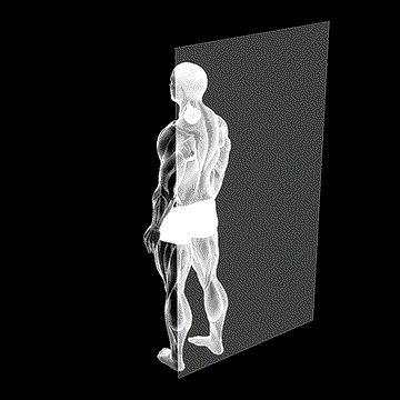 Roll Ball Scapula Levator demonstration