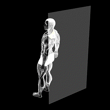 Roll Ball Trapezius Upper demonstration