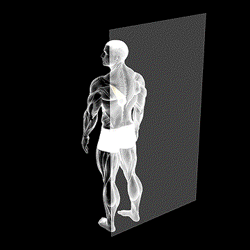 Roll Ball Trapezius Lower demonstration