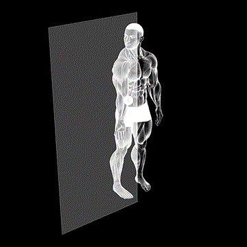 Roll Ball Forearm Pronator demonstration