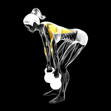 Kettlebell Bent-over Row demonstration