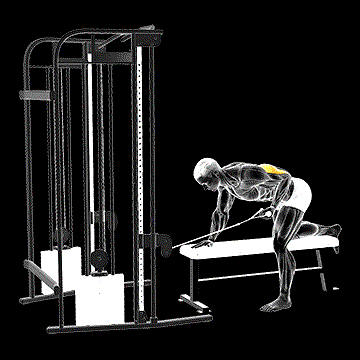 Cable Bent-over One-Arm Kickback demonstration