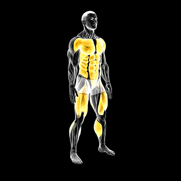 Burpee Squat demonstration