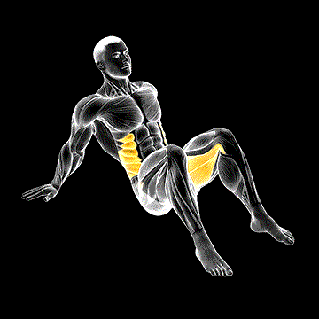 Dynamic 90 90 Hip Twist demonstration