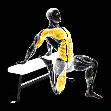 Couch Stretch demonstration