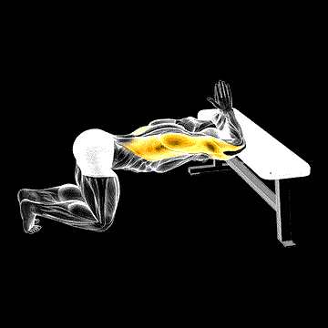 Kneeling Lat Stretch on Bench demonstration