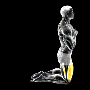 Body Extension demonstration