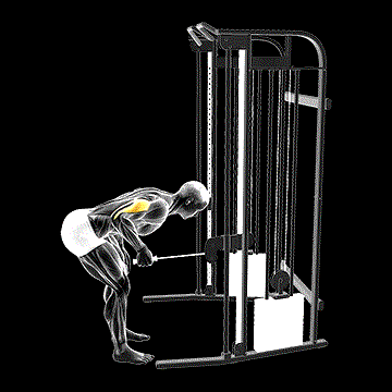 Cable Neutral-Grip Kickback demonstration