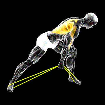 Band One-Arm Bent-Over Row demonstration
