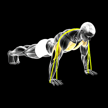 Band Push-Up demonstration