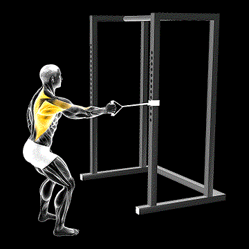 Band Standing One-Arm Row demonstration