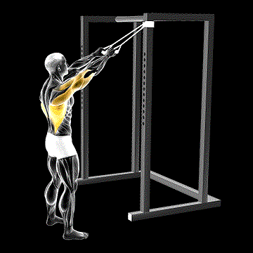 Band Standing Straight Arm Pulldown demonstration