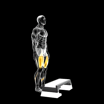 Bodyweight Step-up on Stepbox demonstration