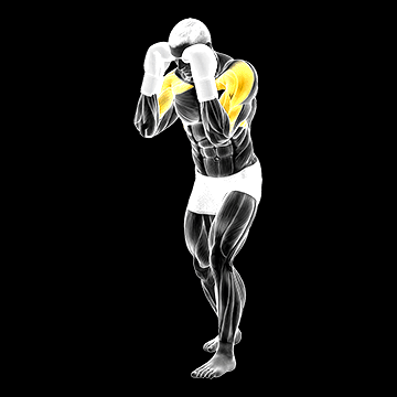 Boxing Block demonstration
