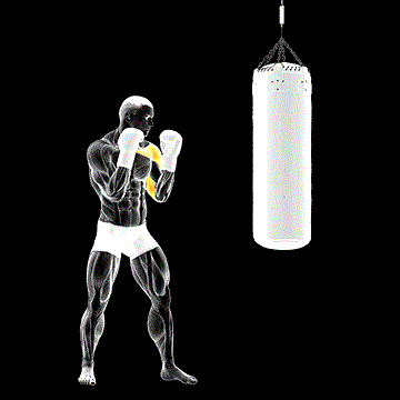 Boxing Jab demonstration