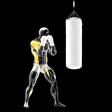 Boxing Right Hook demonstration