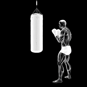Front Groin Kick Kickboxing demonstration