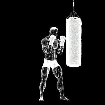 Hook Kick Kickboxing demonstration