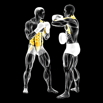 Boxing Left Uppercut (w/ Partner) demonstration