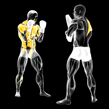 Boxing Right Cross (w/ Partner) demonstration