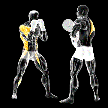 Boxing Right Hook (w/ Partner) demonstration