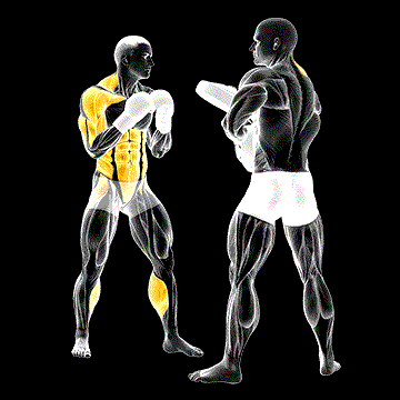 Boxing Right Uppercut (w/ Partner) demonstration