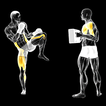 Front Kick Kickboxing (w/ Partner) demonstration