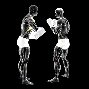 Front Knee Kick Kickboxing (w/ Partner) demonstration