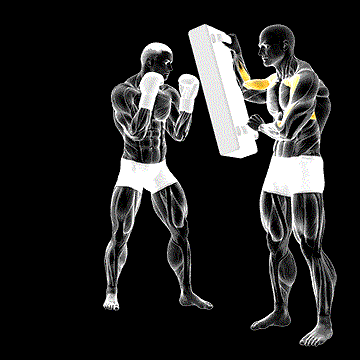 Hook Kick Kickboxing (w/ Partner) demonstration