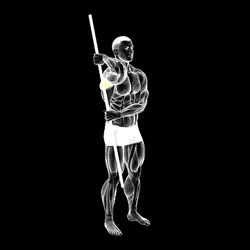 PVC External Rotation demonstration
