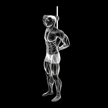PVC Hip Hinge demonstration