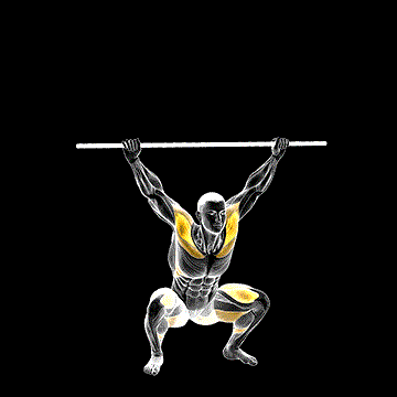 PVC Overhead Squat demonstration