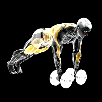 Dumbbell Renegade Row to Squat demonstration