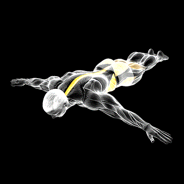 Scorpion Stretch demonstration