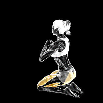 Kneeling Hip Thrust demonstration